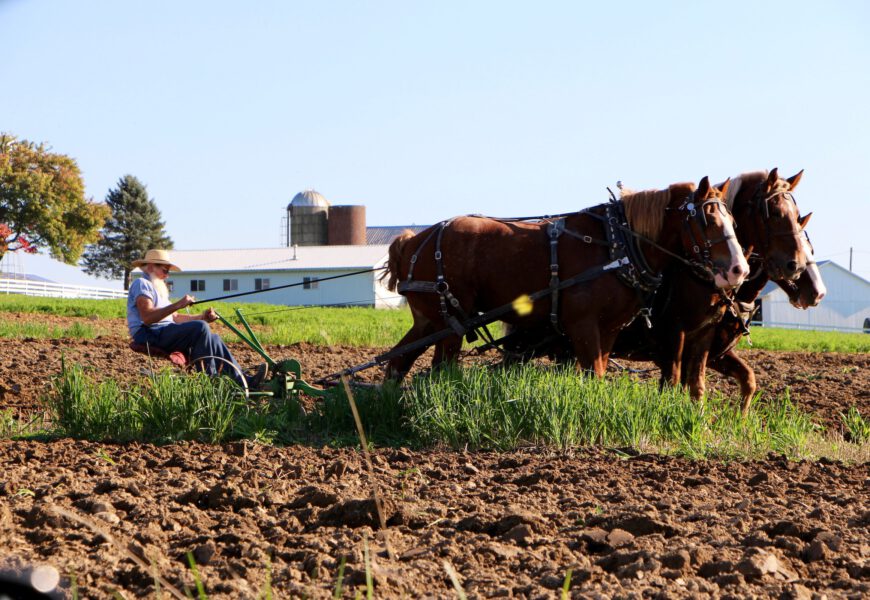 Die Amish: Raus aus der politischen Neutralität