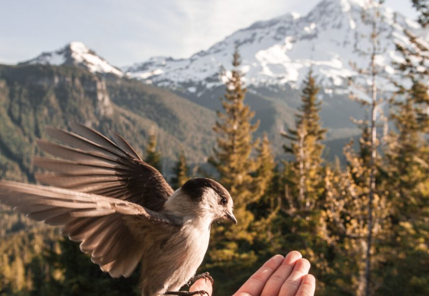 Deserteure – von unserem Kolumnisten Jürgen Schwab