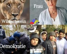 Buntland – oder : Wenn ein Wildschwein zur Löwin wird